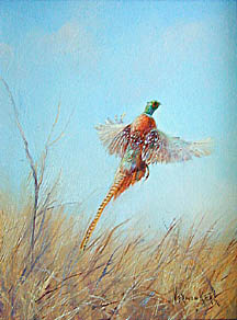 [painting of pheasant]